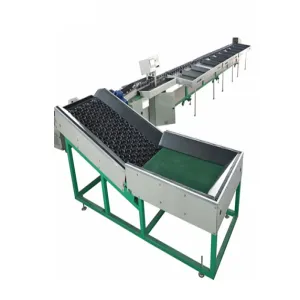 Fruit Sorting Machine