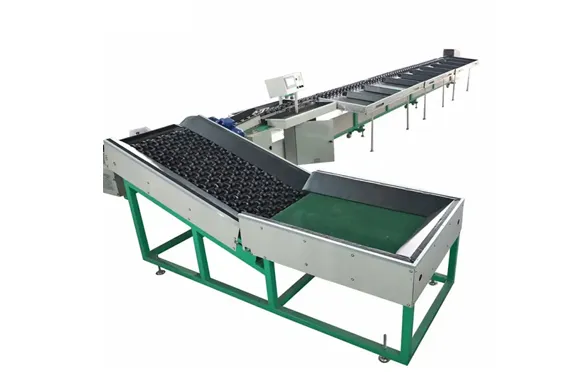 Fruit Sorting Machine