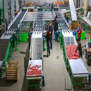 Four Lanes Sorting Machine