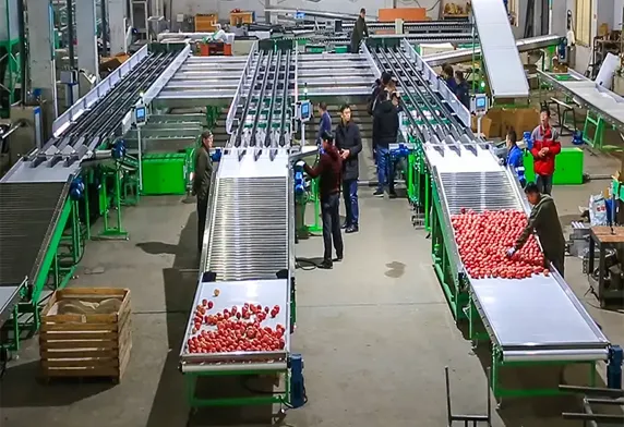 Four Lanes Sorting Machine