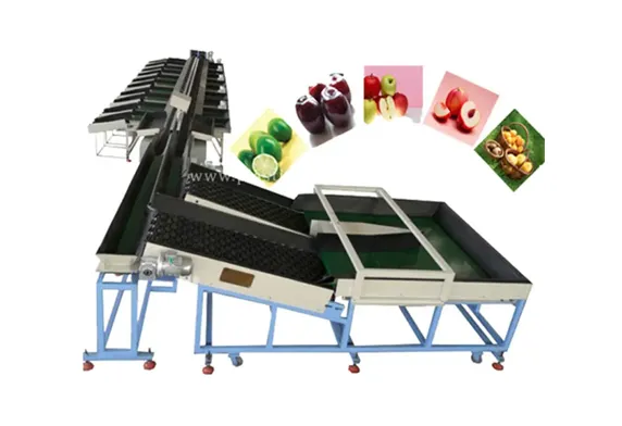Double Lanes Fruit Sorting Machine