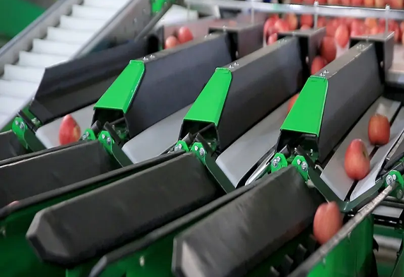 How Thermoforming Machine Reduces Packaging Production Costs