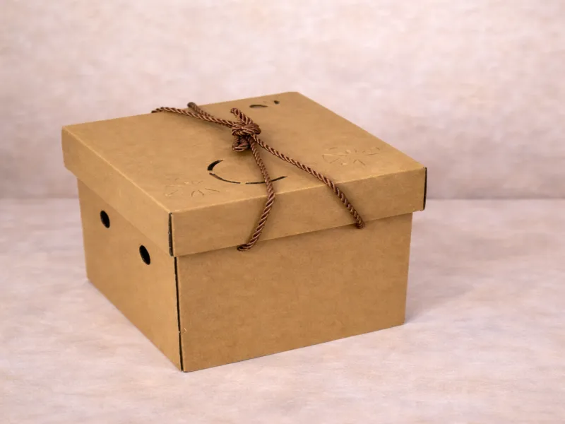 Corrugated Color Box Packaging