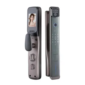T16 Fully Automatic Smart Door Lock