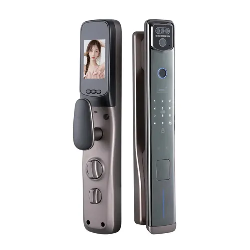 T16 Fully Automatic Smart Door Lock