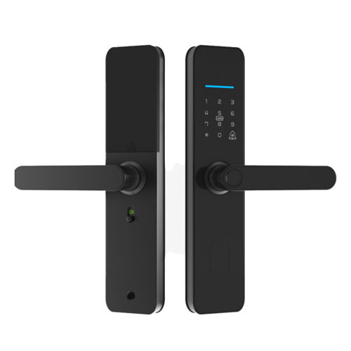 Fingerprint password lock