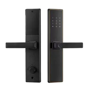 Q3 Fingerprint Recognition Smart Lock