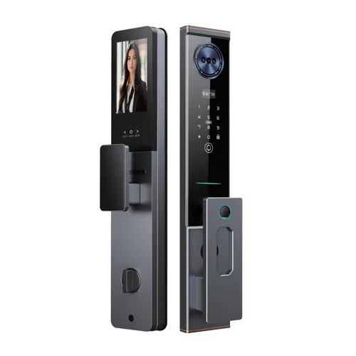 T19 Fully Automatic Smart Door Lock