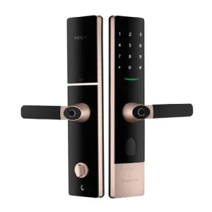 Q1 Fingerprint Recognition Smart Lock