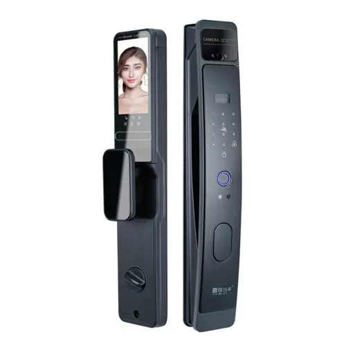 D10 Fully automatic smart lock