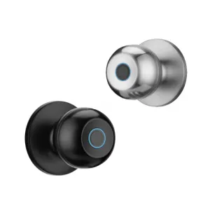Q02 Spherical Smart Lock