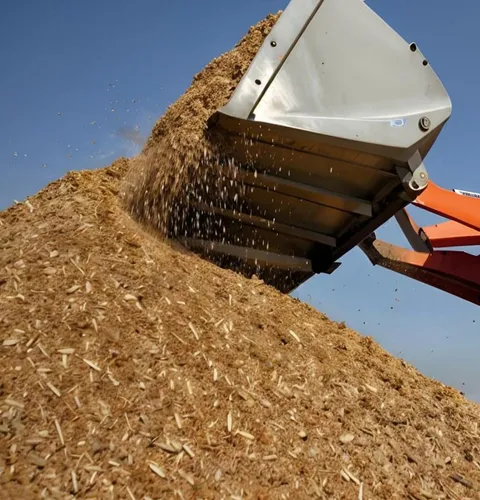 Agriculture and Biomass Energy