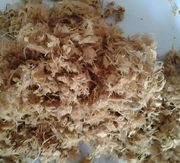 wood and bamboo pulp - Shandong Lyure Machinery Co., LTD