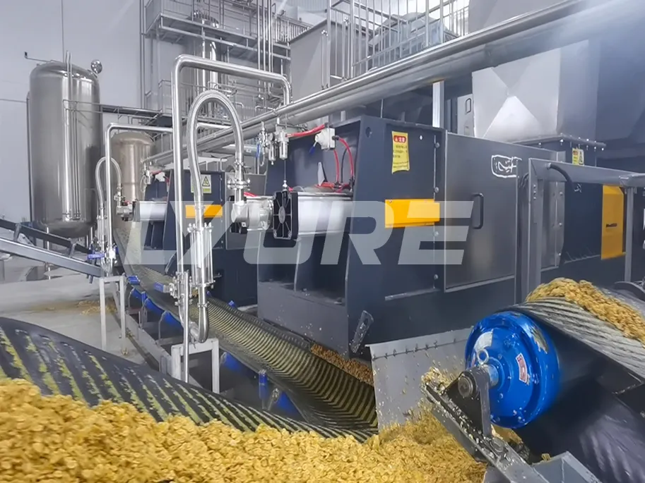 Optimizing Pulp Processing with Lyure’s DP-D25T Screw Press in Guangdong