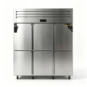 Freezer Kulkas Enam Pintu untuk Restoran & Hotel