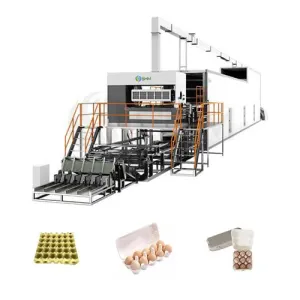 Precio de la máquina de moldeo por la bandeja de huevos de pulpa de papel completamente automático