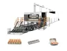High Quality Paper Egg Tray Moulding Machine 