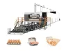 Best Egg Trays Making Machine Using Waste Paper