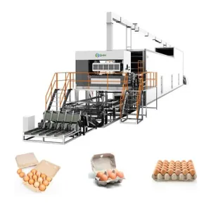  Rotary Paper Egg Tray Equipment Production Line