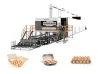  Rotary Paper Egg Tray Equipment Production Line