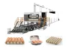 Automatic Egg Tray Production Line 3000pcs/h