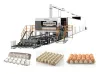 Commercial Egg Tray Machine 4000 pcs/hour