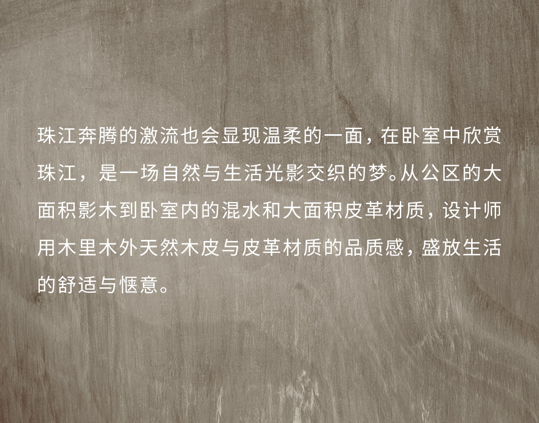 图片51.jpg