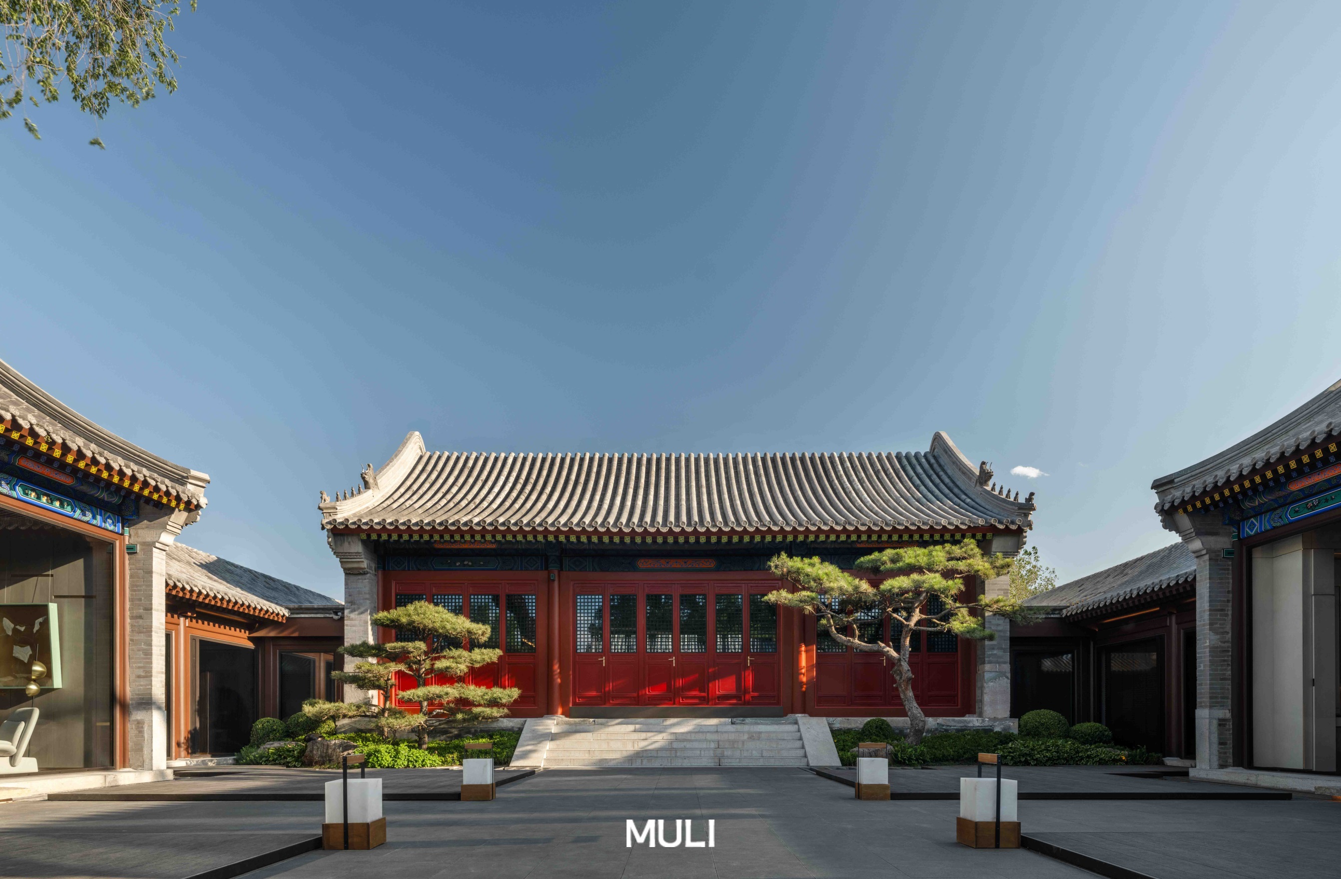 ML-1(1).jpg