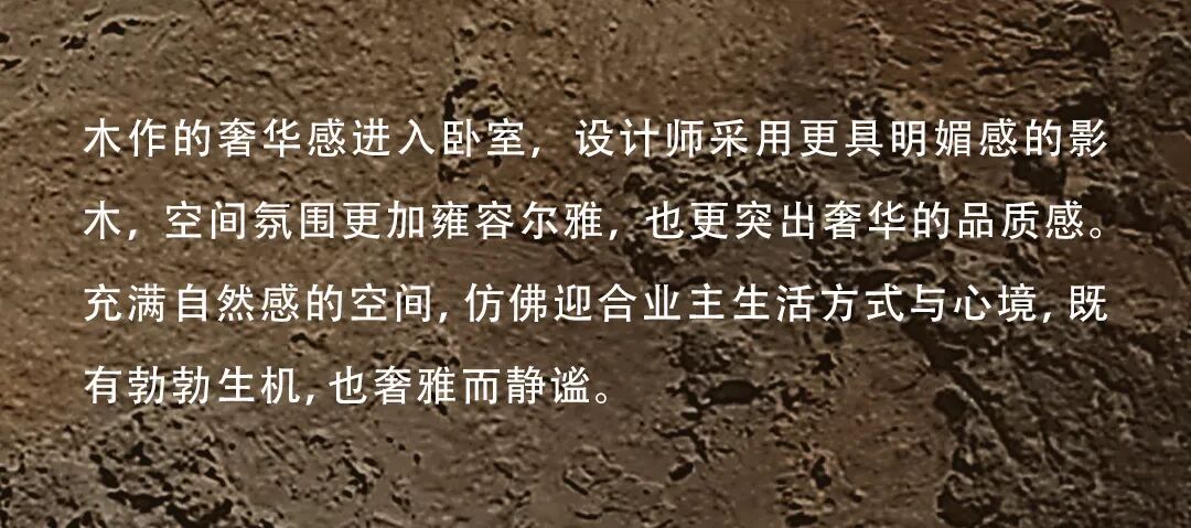 图片47.jpeg