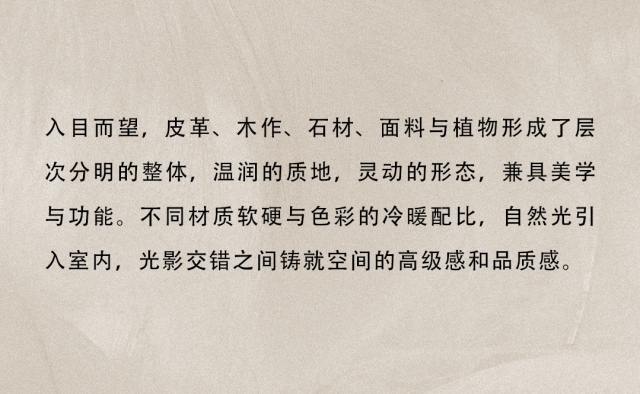 图片8.gif