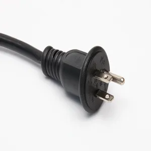 Japanese plug