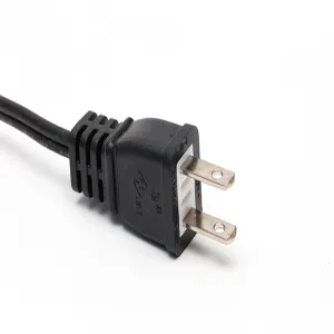 Japanese plug