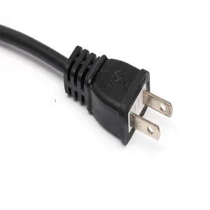 Japanese plug