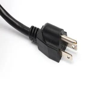 Japanese plug