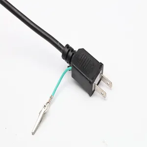 Japanese plug