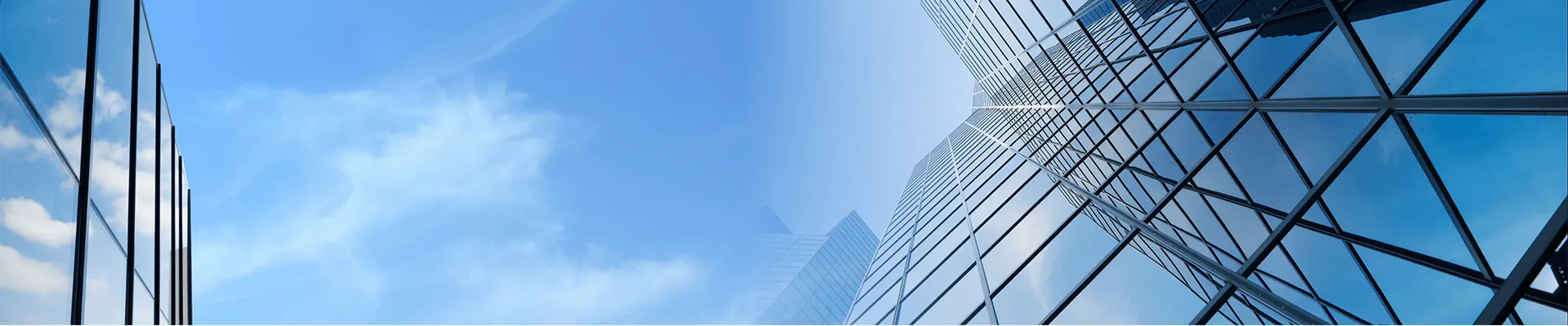 公司介绍s