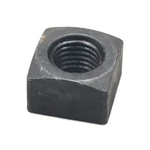 Nut