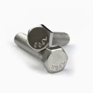 stainless steel hex bolt