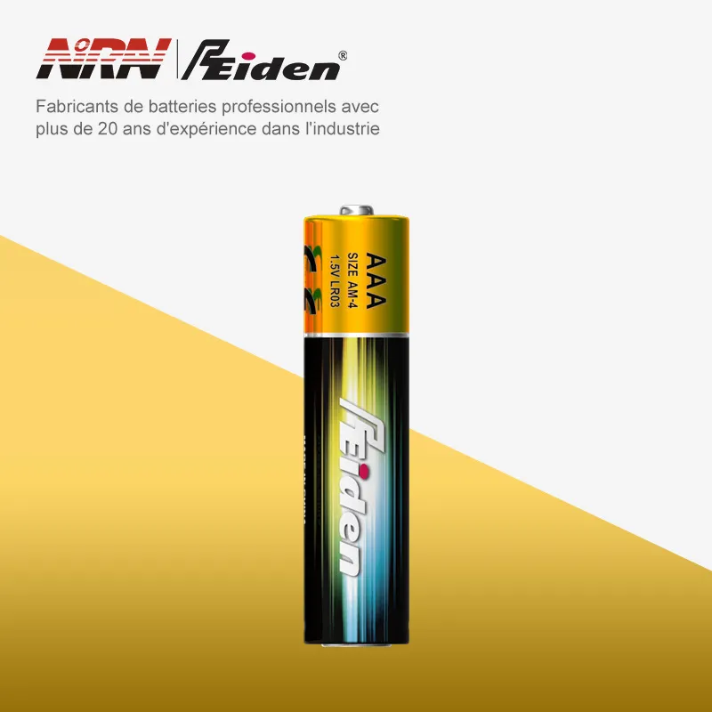 Batterie alcaline AAA