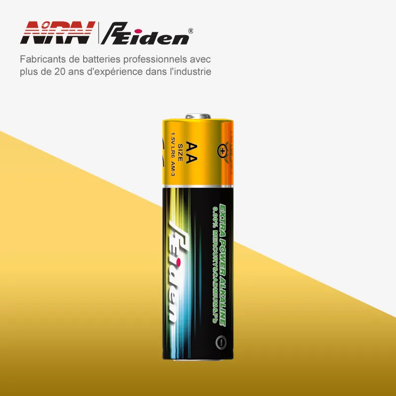 Batterie alcaline AA