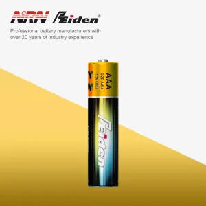 AAA Alkaline Battery