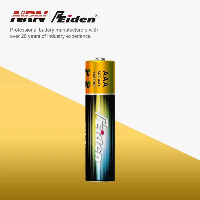 AAA Alkaline Battery