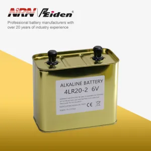 Alkaline Battery 4LR20-6V