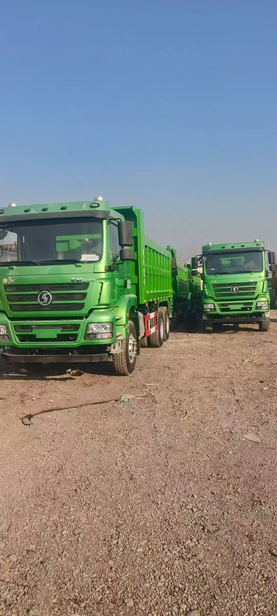 Dump Tipper (Rear Dump Truck)