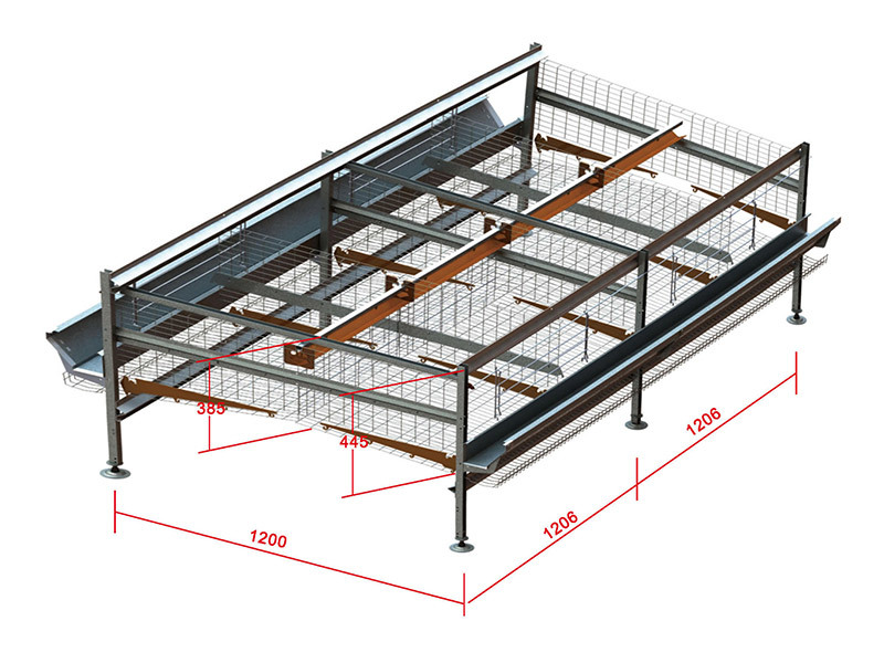 Chicken Eating Line How to Set Up a Full Automatic Chicken Feeding Line - Shandong Jucheng ...