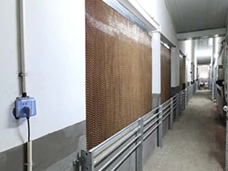 Evaporative cooling pad wall inside livestock building