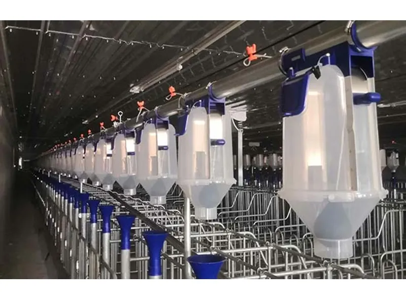 Feed Processing System Pig Farm Feed Management System China Manufacturers - Shandong Jucheng ...