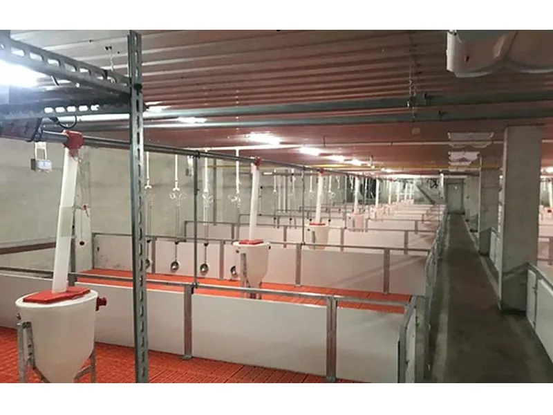 Pig Feed Line System China Manufacturers - Shandong Jucheng ...