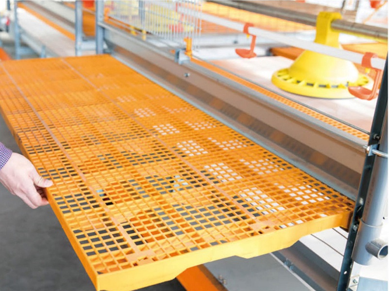 Easy-to-Install Chicken Feeding Lines for All House Sizes - Shandong ...