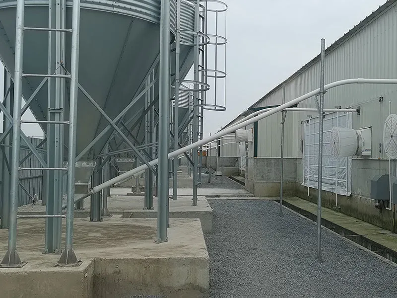 automatic auger feed line from silo to livestock barn